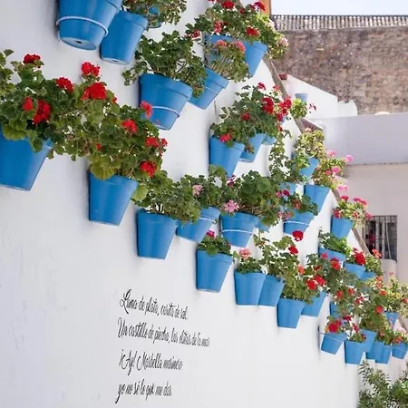 Amazing ,center Of Marbella, 338 Apartment Marbella