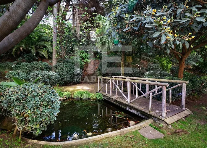 Amazing ,center Of Marbella, 338 Апартаменти