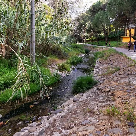 Amazing ,center Of Marbella, 338 *