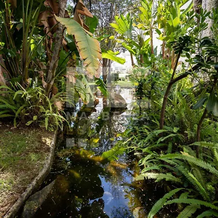 Apartment Amazing ,center Of Marbella, 338 *