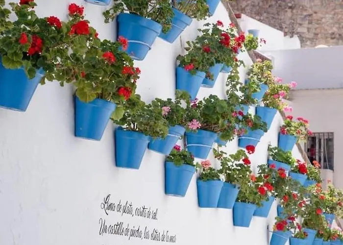 Amazing ,center Of Marbella, 338 Apartament Marbella