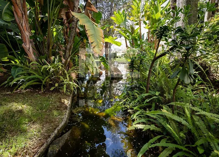 Daire Amazing ,center Of Marbella, 338 *