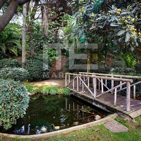 Amazing ,center Of Marbella, 338 公寓